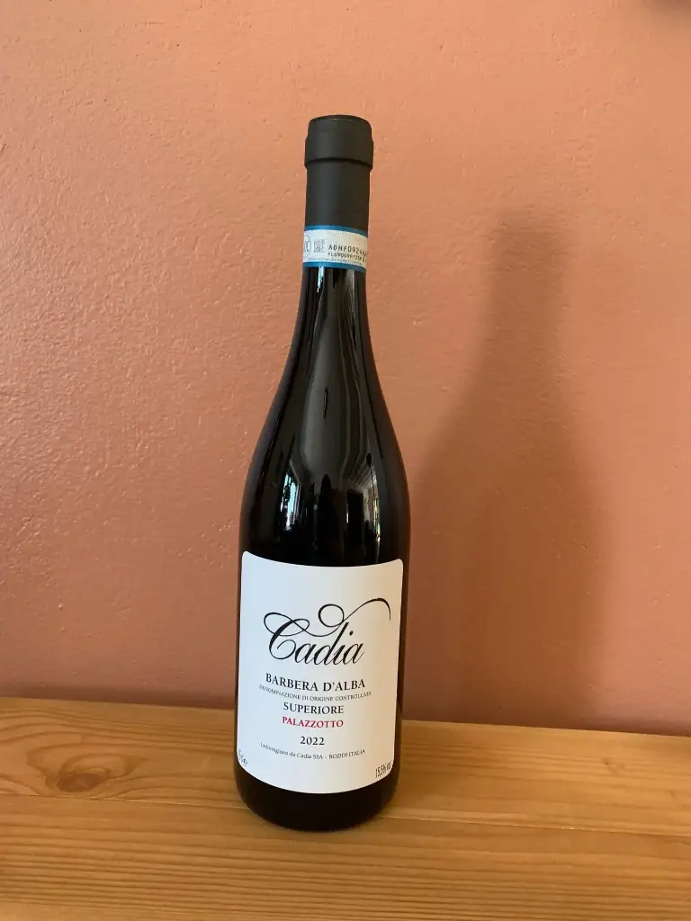 BARBERA D'ALBA DOC SUPERIORE  PALAZZOTTO 2022 CADIA